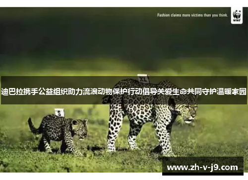 迪巴拉携手公益组织助力流浪动物保护行动倡导关爱生命共同守护温暖家园