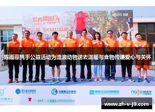 陈雨菲携手公益活动为流浪动物送去温暖与食物传递爱心与关怀