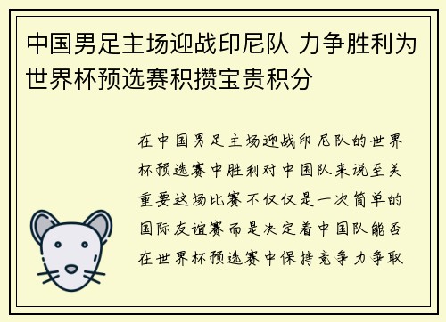 中国男足主场迎战印尼队 力争胜利为世界杯预选赛积攒宝贵积分 中国男足主场迎战印尼队 力争胜利为世界杯预选赛积攒宝贵积分